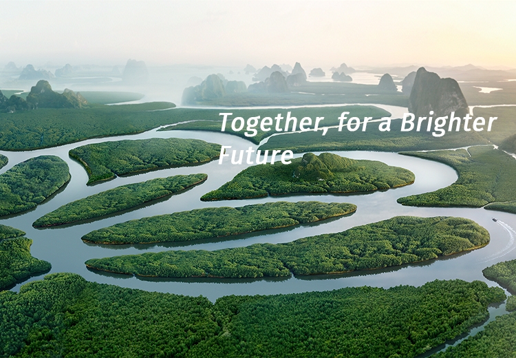 精细化学 绿色生活